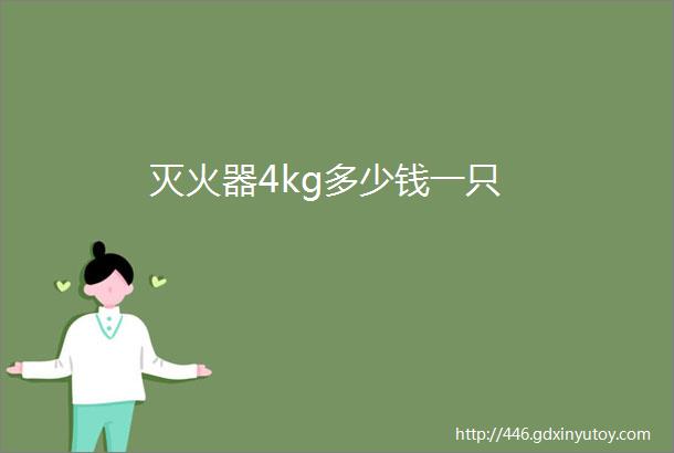 灭火器4kg多少钱一只