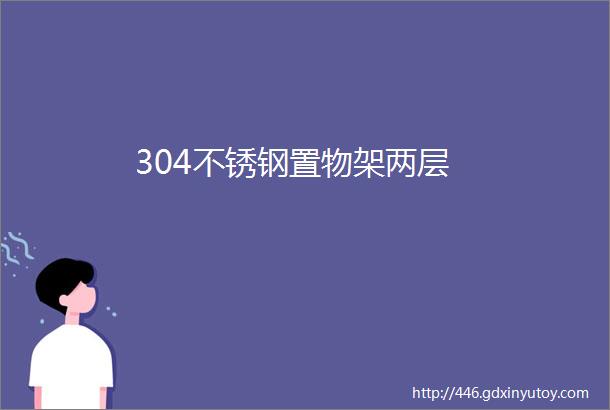 304不锈钢置物架两层